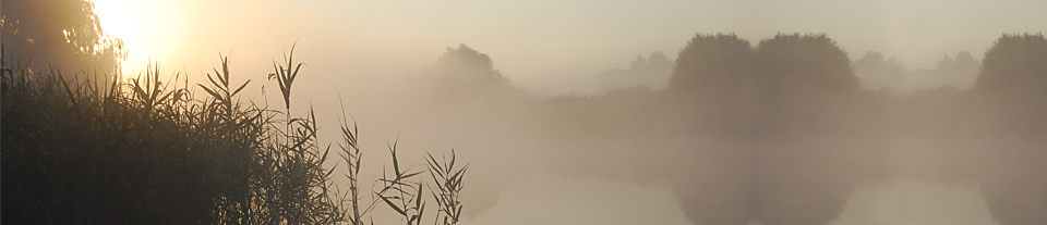 Clearing the mist